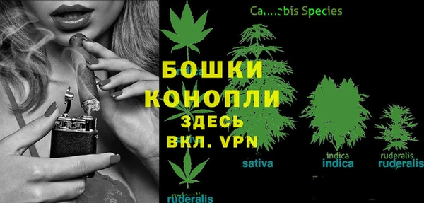 Альфа ПВП Нея